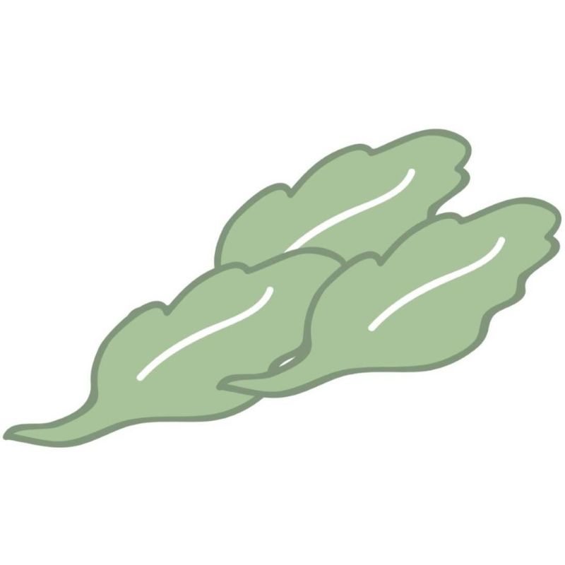 Kington Park self storage provider logo