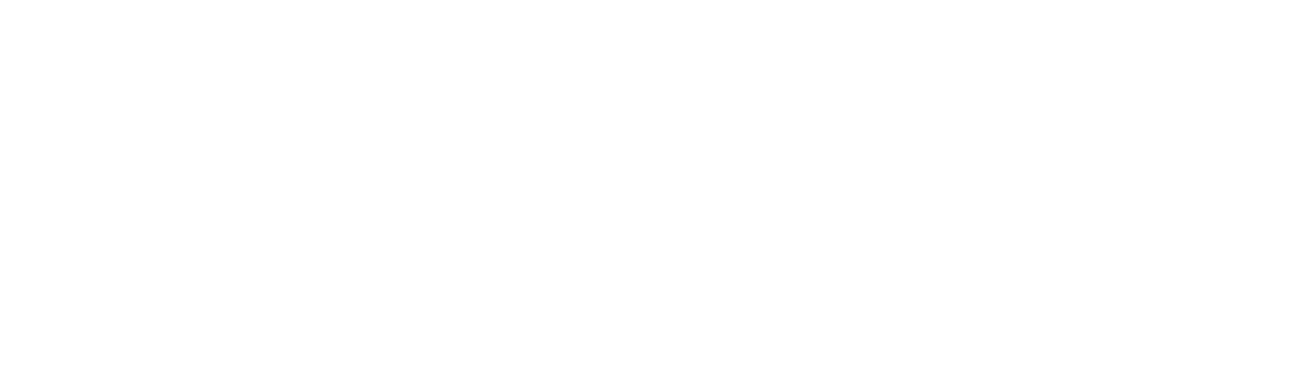 Bluebox Storage opslagaanbieder logo