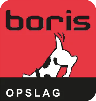 BorisOpslag opslagaanbieder logo