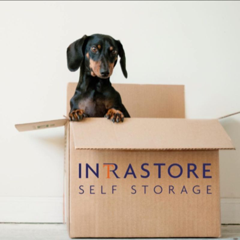 Intrastore Self Storage self storage provider logo