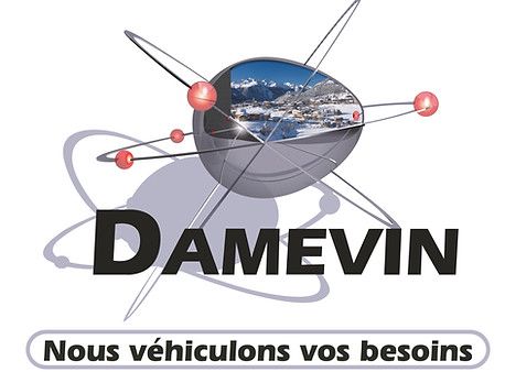 Logo du fournisseur de stockage Damevin
