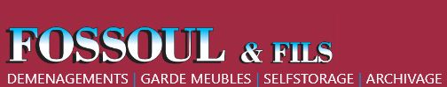 Fossoul opslagaanbieder logo