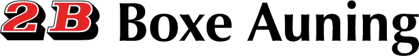 Logo for opbevaringsudbyderen 2B Boxe