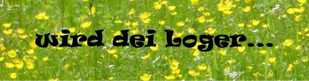 Meiloger self storage provider logo