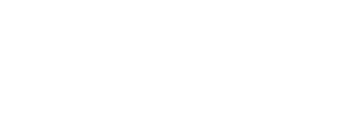 Lesters Storage self storage provider logo