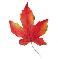 Logo for opbevaringsudbyderen Opbevaring Odsherred