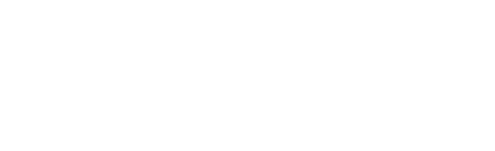 Logo du fournisseur de stockage BlueSpace